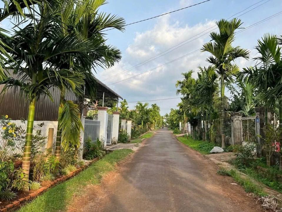 Mặt Tiền Kinh Doanh Tuy Hòa 60m² - Giá 1.35 Tỷ, Sẵn Sàng Xây Dựng