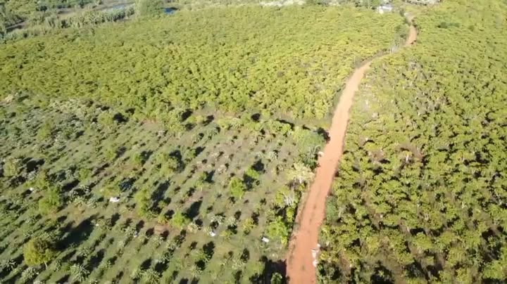 Đất vườn 2.7ha Lộc Ngãi, Bảo Lâm - Sổ đỏ chính chủ, đường ô tô tận vườn!