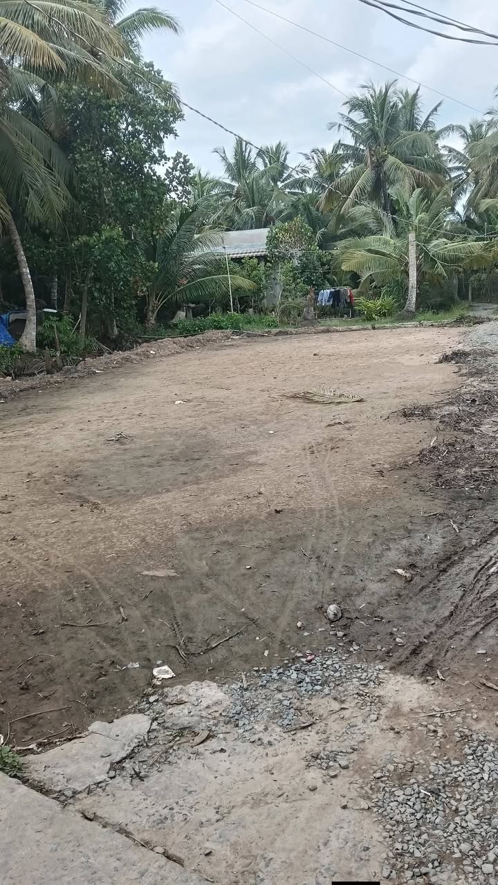 Đất nền Nhị Quý, Cai Lậy 240m² - Sổ đỏ chính chủ, chốt nhanh 550 triệu!