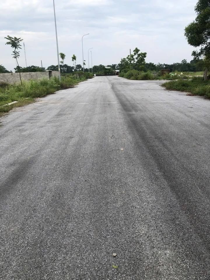 Đất Giãn Dân Đạo Chân - Bắc Ninh 202m² - Sổ Hồng Sẵn Sàng