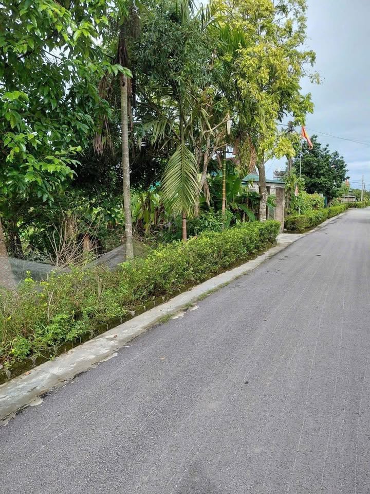 Bán Đất Thạch Bình, Hà Tĩnh - 190m² Sổ Đỏ Chính Chủ, 2 Tỷ/Lô