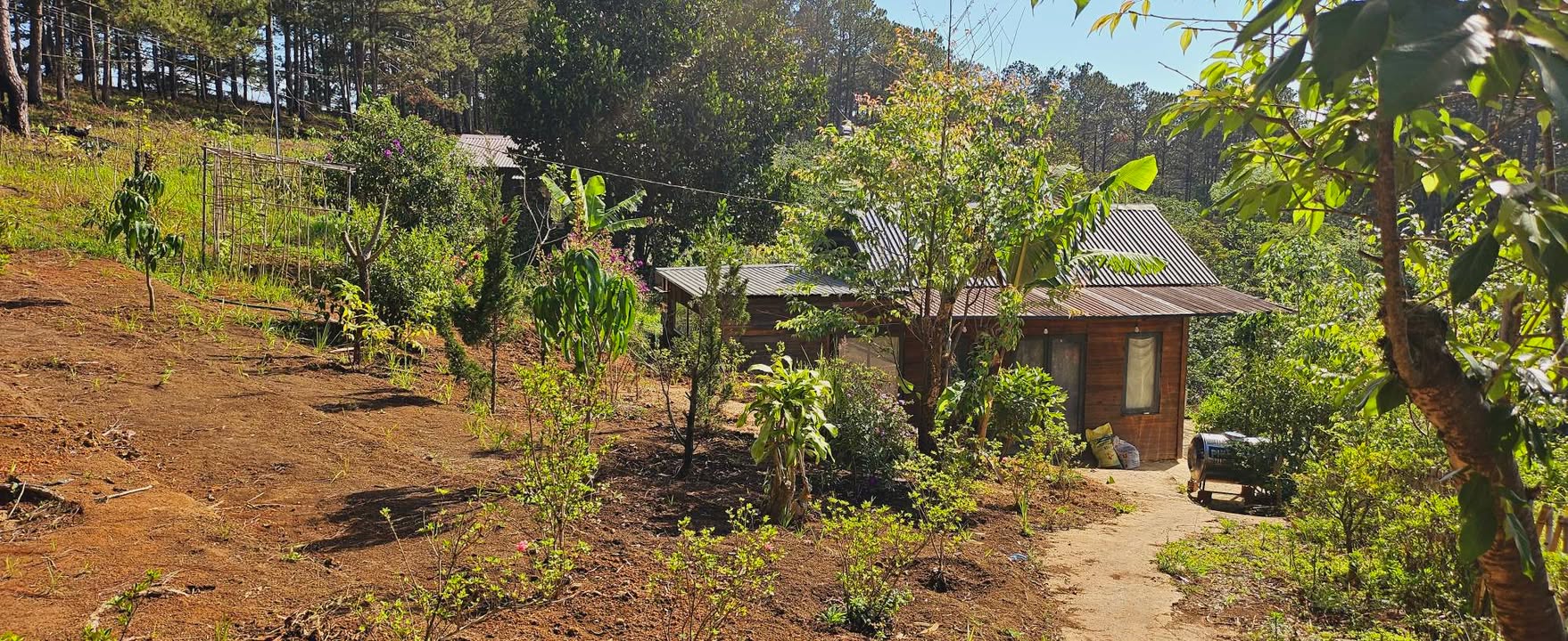 Cho thuê Nhà vườn Xuân Trường, Đà Lạt - 700m² Rừng Thông Yên Bình