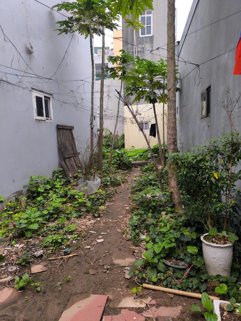 Đất nền Ngọc Thụy 32m² 32 tỷ - Sổ đỏ chính chủ!