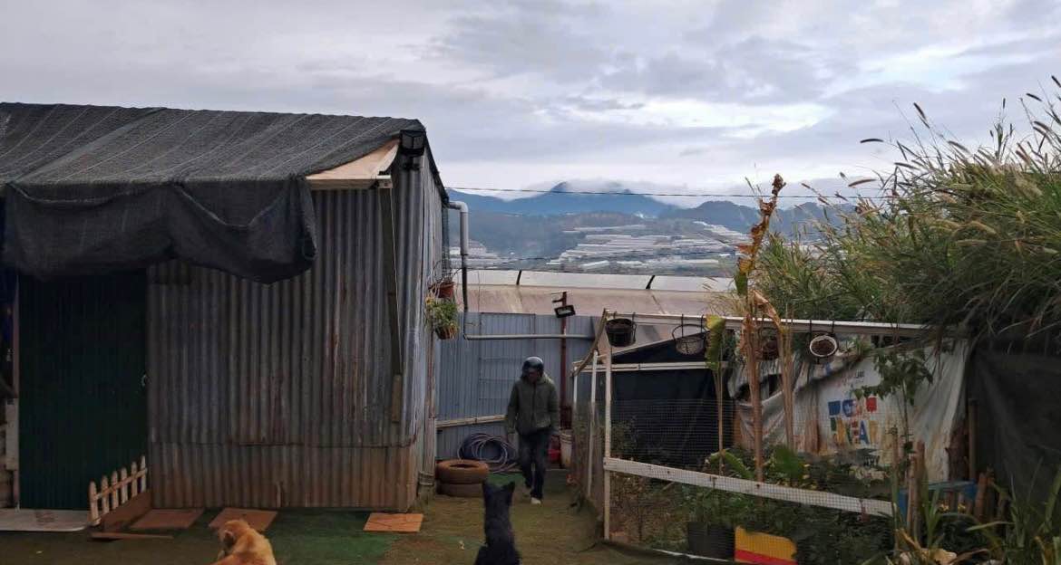 Đất Nền Phường 5 Đà Lạt 82.5m² - Sổ Hồng Sẵn Sàng, Giá 700 Triệu