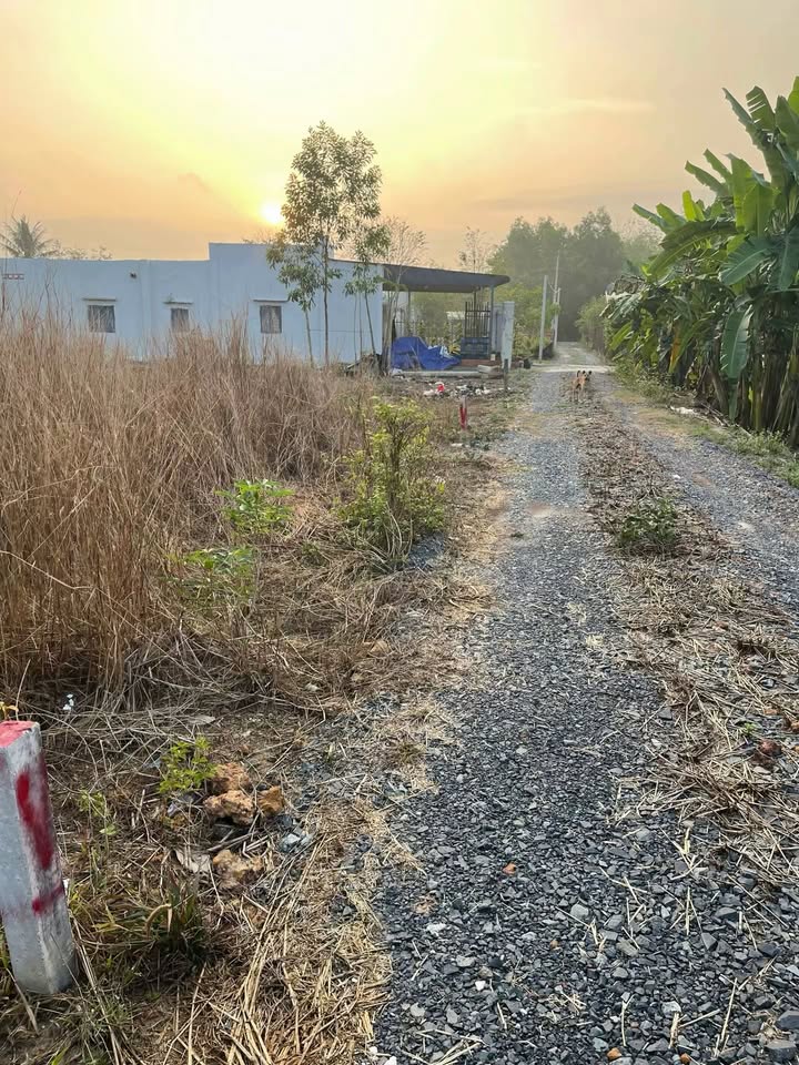 Đất nền Huyện Tân Biên 320m² – Sổ đỏ chính chủ, xây dựng ngay!