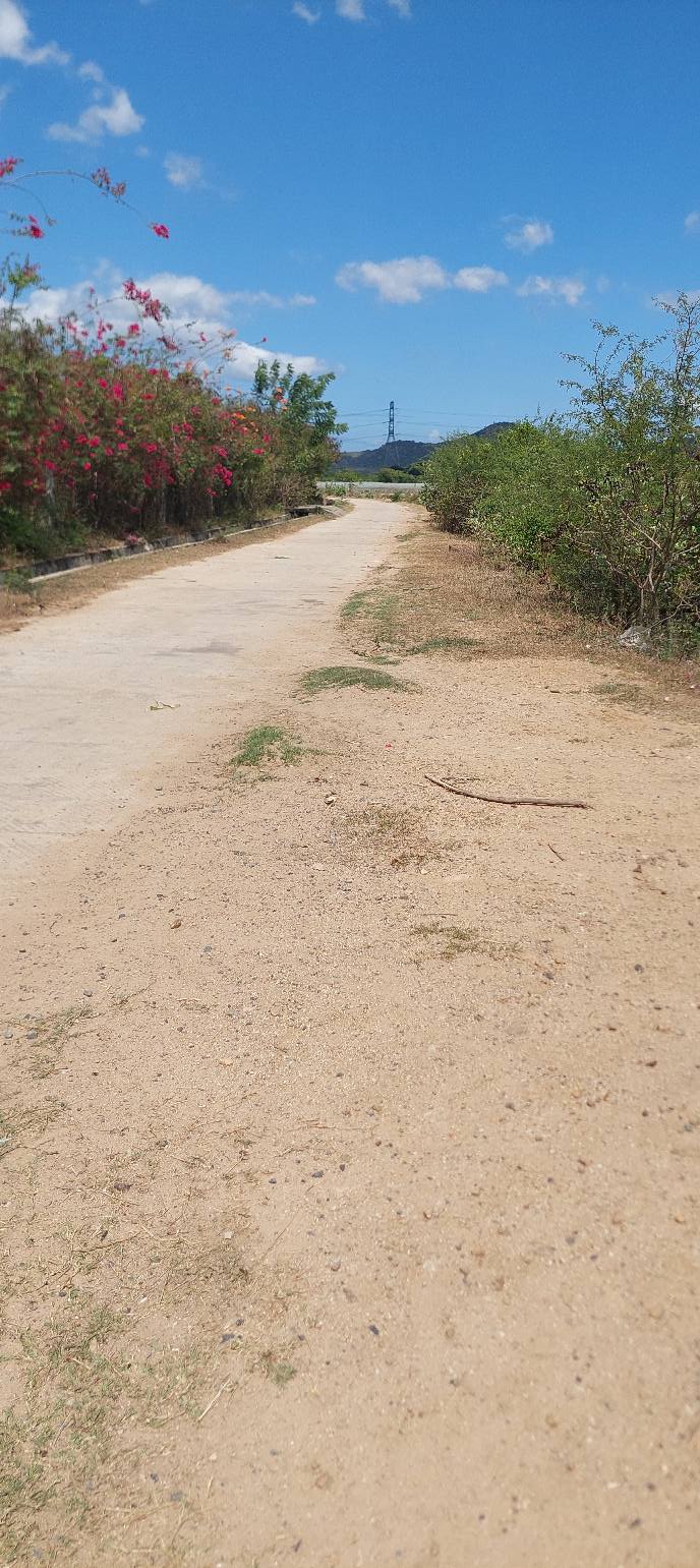 Bán đất farm 7386m² Ninh Thuận - Sẵn sàng canh tác, sổ đỏ rõ ràng