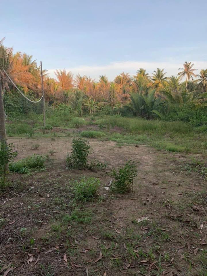 Đất nền Tân Thành Bình 180m² 450tr - Sổ đỏ chính chủ