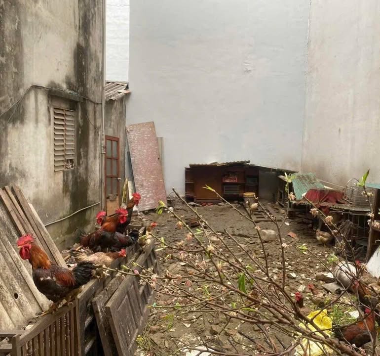 Đất Vàng Phú Thượng 54m² - Ngõ Thông Ô Tô, Sẵn Sổ Đỏ Chính Chủ