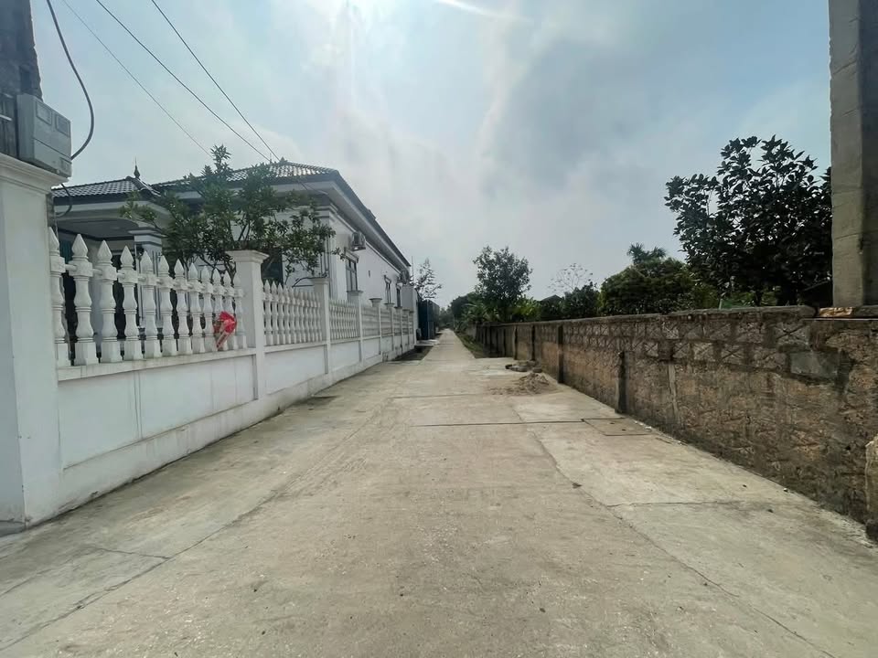 Đất nền Triệu Sơn 174m² giá từ 4 tỷ/lô - Sổ đỏ chính chủ!