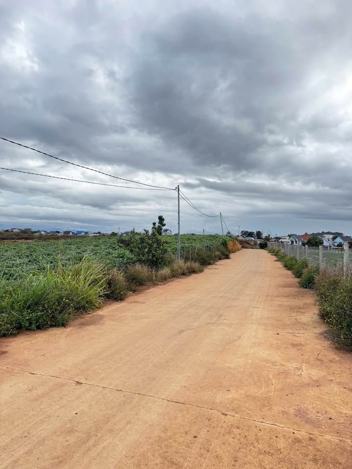 Đất nền Xã Phú Hội, Đức Trọng 300m² - Sổ đỏ chính chủ, Tiềm năng đầu tư