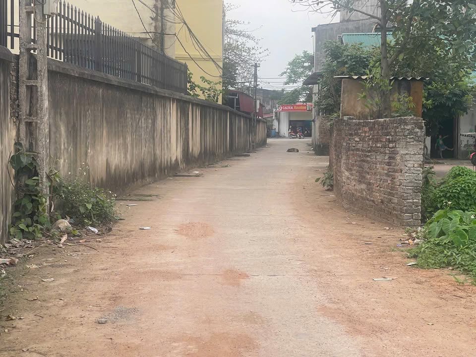 Bán Đất 100m² Thổ Cư Làn 2 Tỉnh Lộ 296, Bắc Giang - Sẵn Sàng Đầu Tư/An Cư