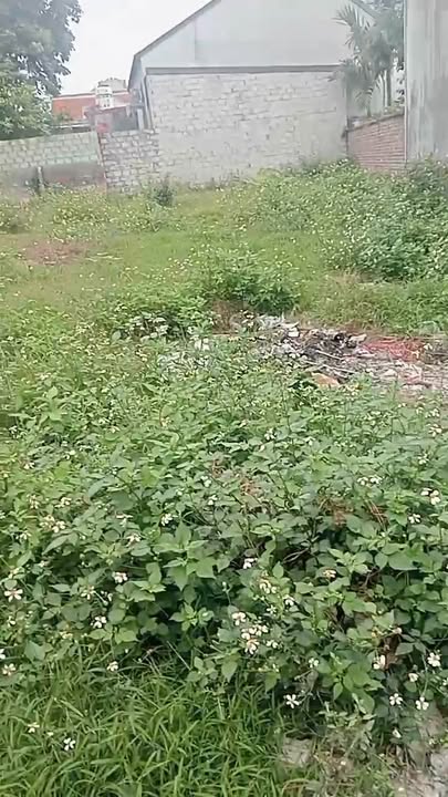 Đất Hùng Tiến Vĩnh Bảo 131m² Sổ Đỏ - Giá Tốt 7xx Triệu