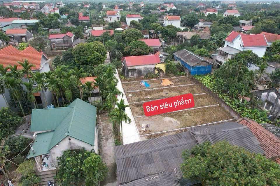 Đất nền Duyên Hà, Thanh Trì 98.6m² - Ô tô vào tận nơi, giá tốt!