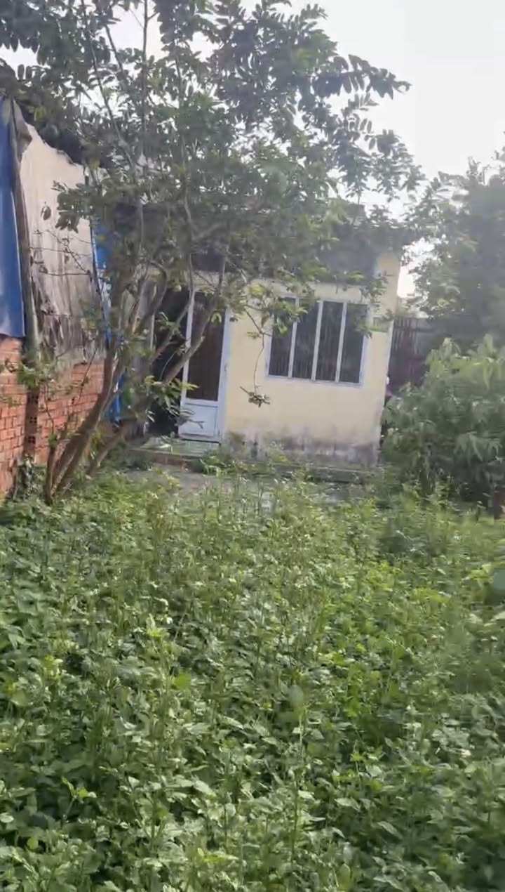 Nhà 100m² Trịnh Thị Miếng Hóc Môn - Sổ Hồng, Giá Tốt