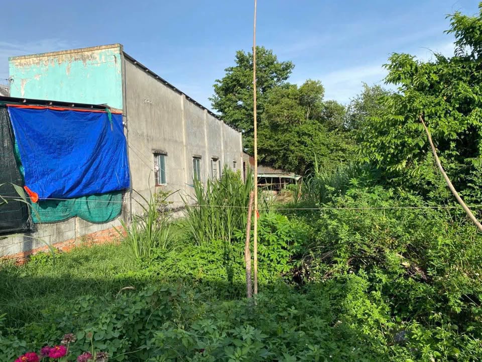 Đất nền QL22 Tân Thông Hội 252m² 4.2 tỷ - Sổ đỏ chính chủ