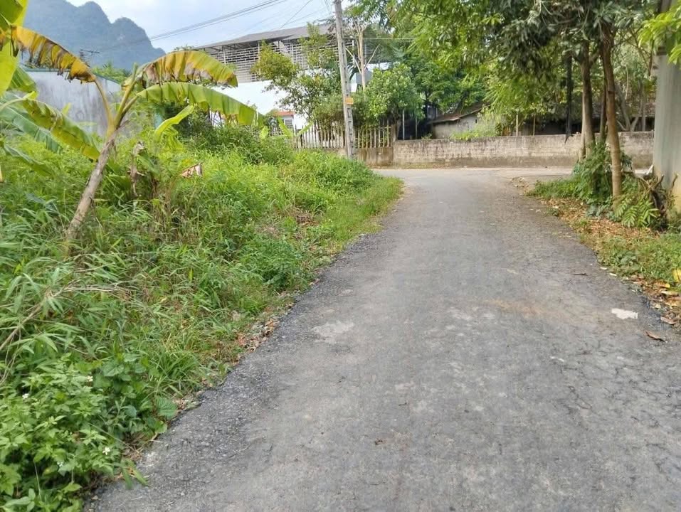 Bán đất 100m² HNK tại Ngọc Đường, Hà Giang - Giá 550 triệu