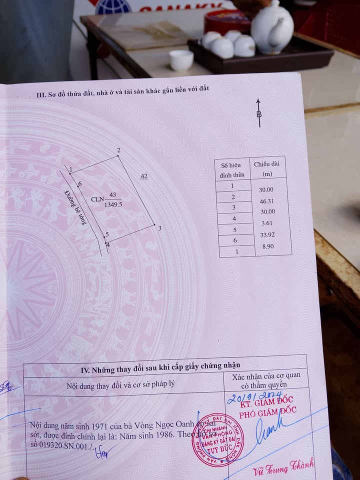 Đất Vàng Mặt Tiền Đường Nhựa Quảng Tân - 1300m², 1.5 Tỷ, Kinh Doanh/Kho Xưởng