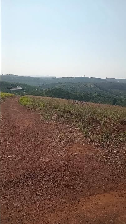 Bán Đất Đắk Nông 21.000m² Giá 2.6 Tỷ - Sẵn Cà Phê, View Thoáng