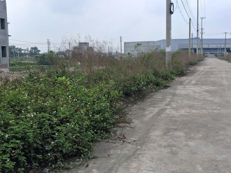 Đất nền Ninh Phong, Hoa Lư 120m² giá 3 tỷ - Sổ đỏ chính chủ!