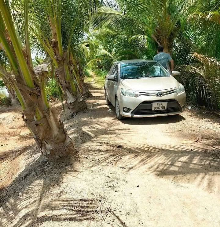 Bán 20.000m² Đất Ruộng Trà Vinh - Kinh Doanh, Sinh Lời Cao