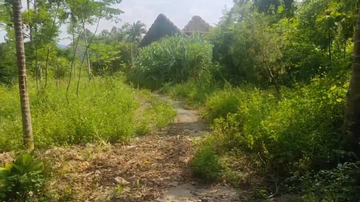 Đất Vườn Nho Quan 3549m² - Giá Tốt, Tiềm Năng Sinh Lời