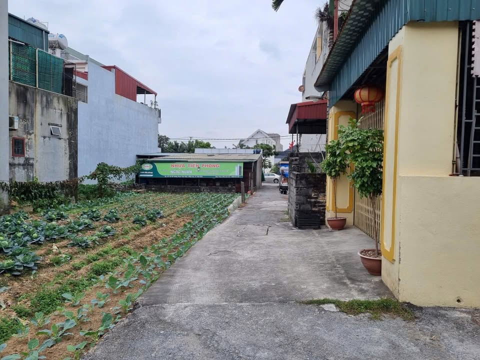 Đất nền Ngõ Phạm Thận Duật 116m² - Sổ đỏ chính chủ