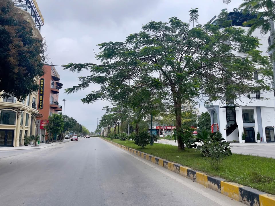 Bán Đất Nền Khu Đô Thị Xuân Thành 100m² - Vị Trí Vàng Kinh Doanh