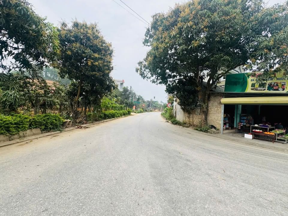 Đất nền Thôn 9 Yên Sơn 99m² - Vị trí kinh doanh, đầu tư sinh lời