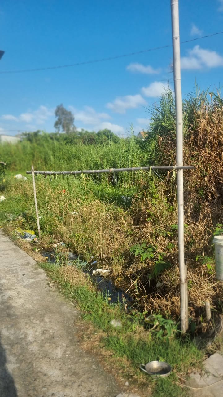 Đất nền Cà Mau 153m² - Sổ hồng sẵn, tiềm năng tăng giá!