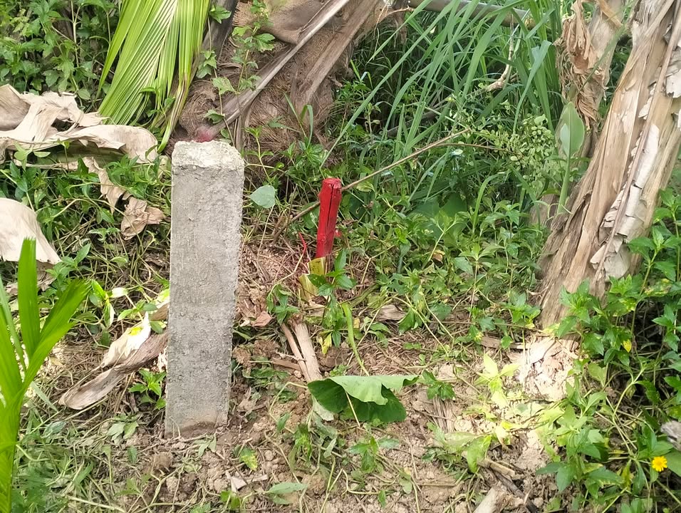 Đất nền Hòa Phong Hòa Vang 1900m²/6.7 tỷ - Hạ tầng hoàn thiện