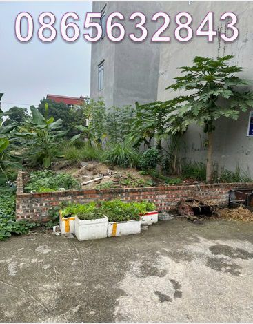 Bán Đất Sổ Đỏ 90m² Đông Cứu, Gia Bình, Bắc Ninh - Vị Trí Đẹp, Tiềm Năng Sinh Lời Cao