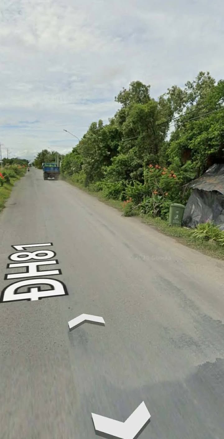 Bán Đất Mặt Tiền Hương Lộ 81, Duyên Hải, Trà Vinh - 1530m² Sẵn Sàng Đầu Tư