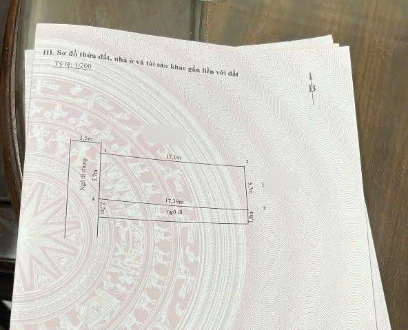 Bán đất Ngô Gia Tự, Hải An 100m² - Ngõ ô tô, 2 mặt thoáng, giá 5.5 tỷ