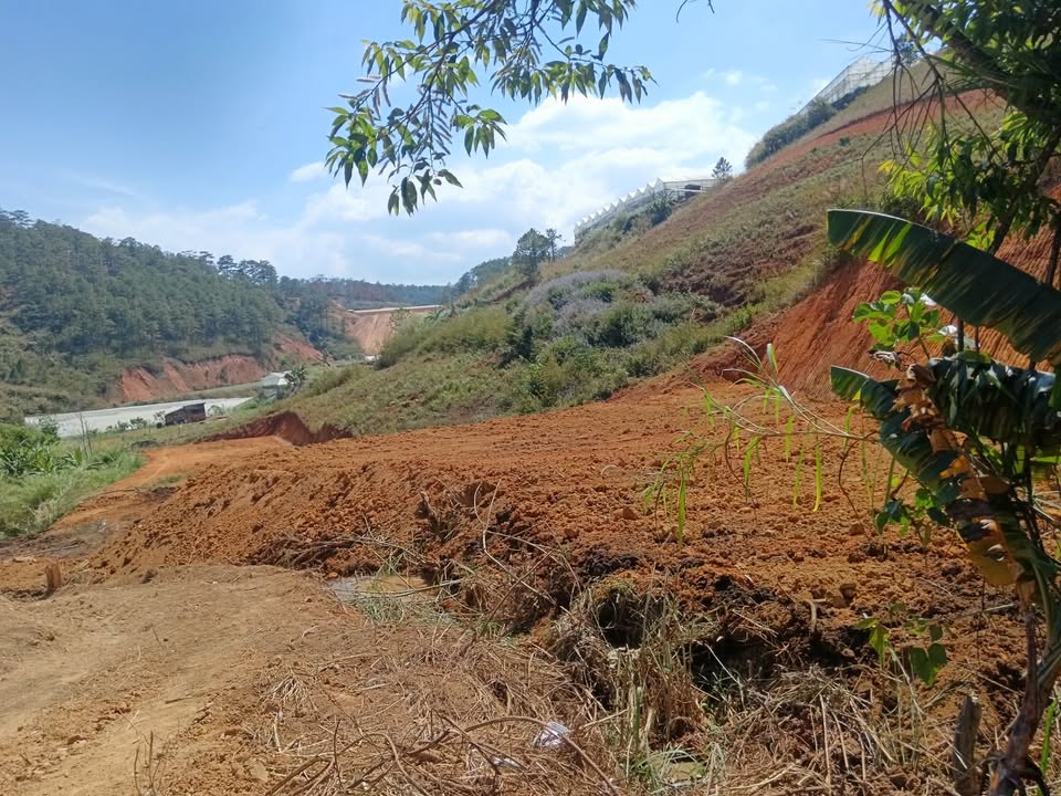 Đất Vườn Đà Lạt 1440m² - Sinh Thái Xanh, Thích Hợp Canh Tác!