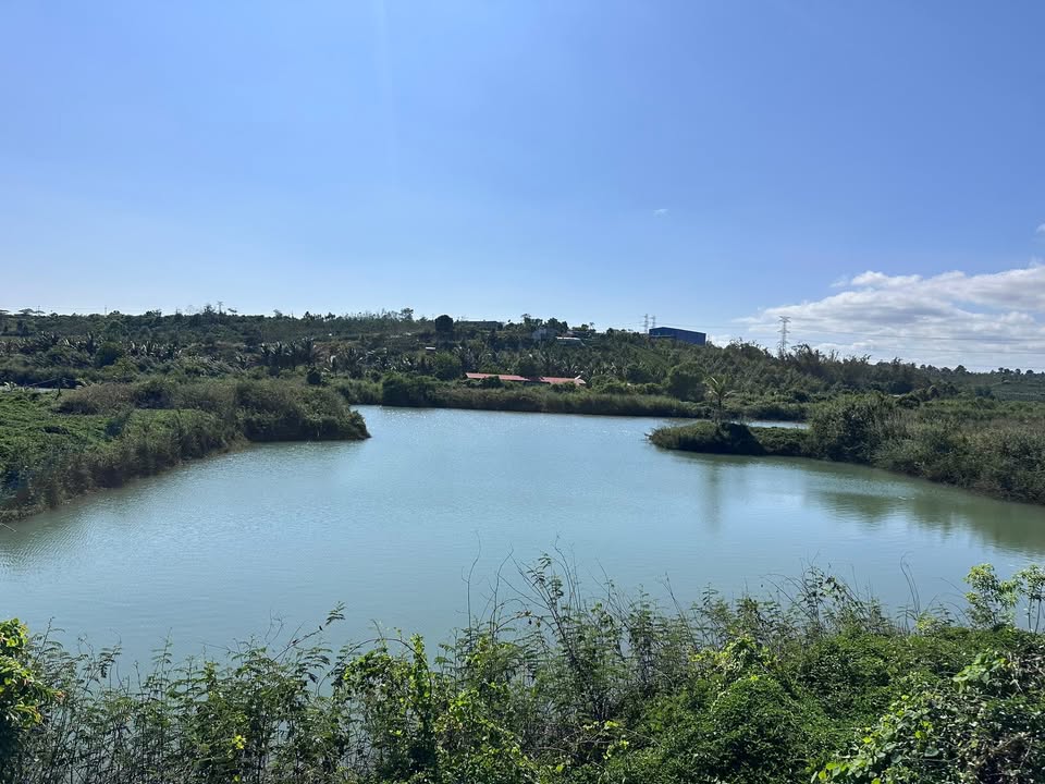 Đất Đắk Song 100m² Mặt Tiền Nhựa Giá 550 Triệu - View Hồ, Sổ Đỏ