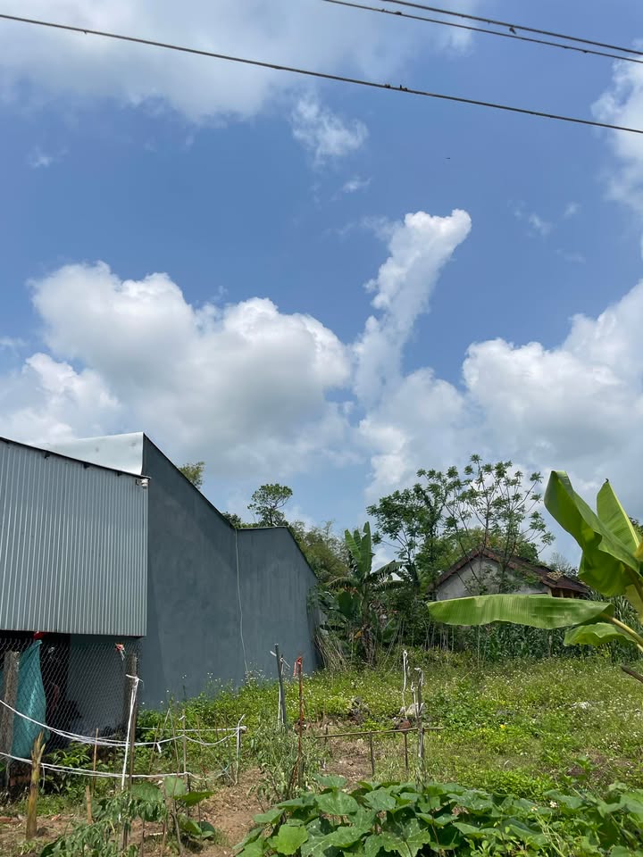 Đất nền Phú Thịnh 180m² chỉ từ 2xx triệu - Đường to ô tô tới nhà!