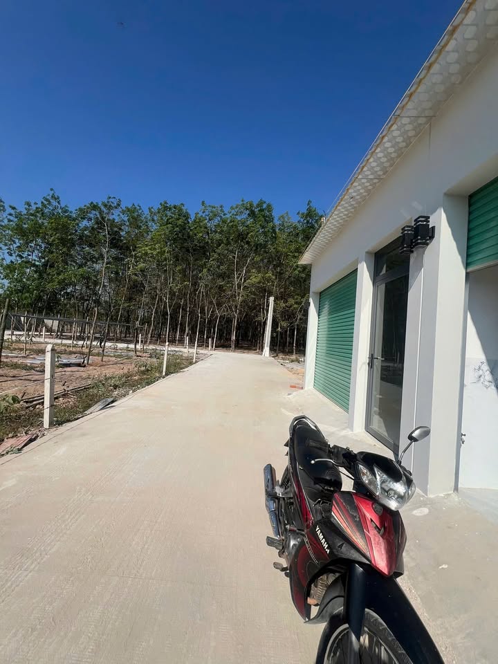 Bán Gấp 2 Nhà Liền Kề 110m² Sát Visip 2, Tân Uyên - Sổ Sẵn