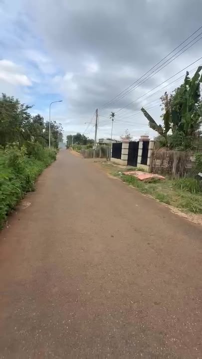 Đất vườn Hưng Long 4700m² Bình Chánh – Sổ đỏ chính chủ!