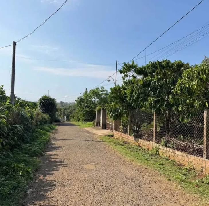 Đất Nền Lộc An - Bảo Lộc 240m² Sổ Hồng Thổ Cư, Mặt Tiền Nhựa