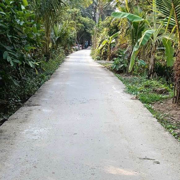 Đất Vườn Dừa Bến Tre 745.7m² - Giá 800 Triệu, Sẵn Thu Trái