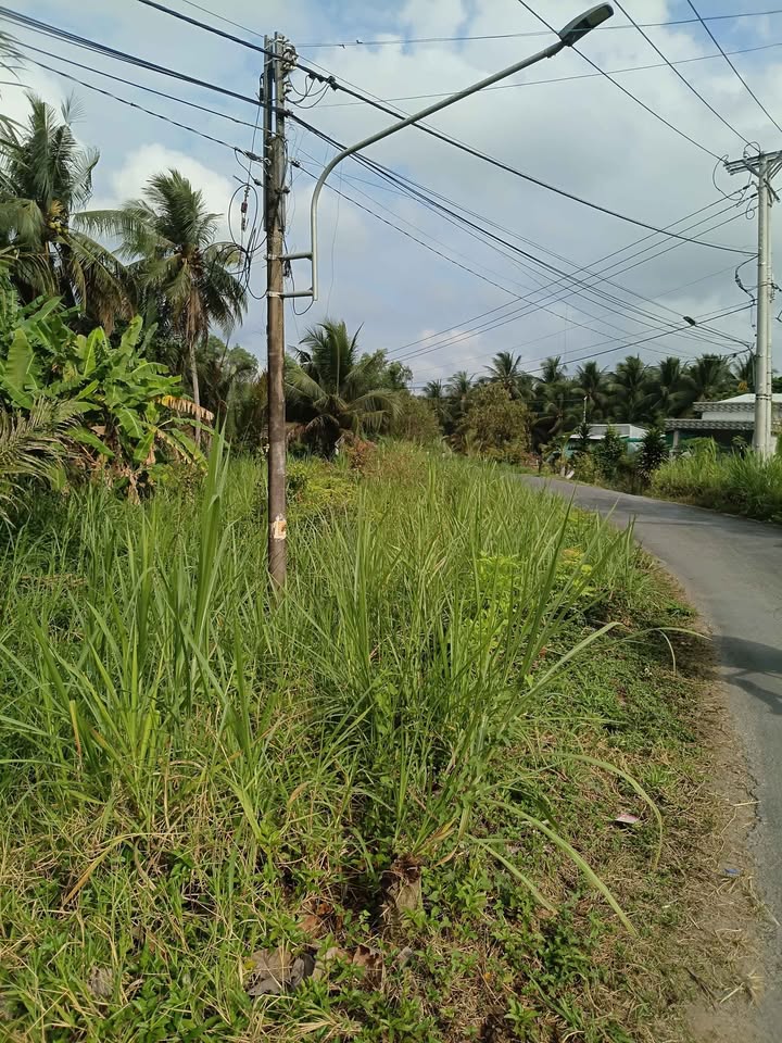 Đất nền Càng Long, Trà Vinh 177m² chỉ 400 triệu - Tiềm năng tăng giá!