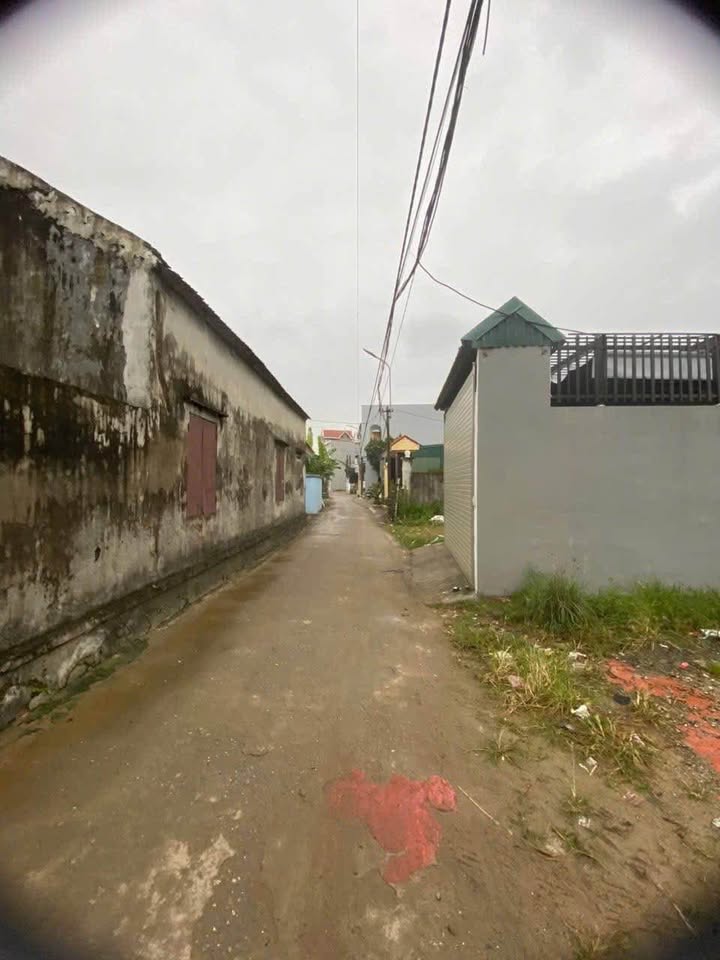 Đất Nền 50m² Hoa Lư, Ninh Bình - Sổ Đỏ Sẵn Sàng, Gần Chợ Trường