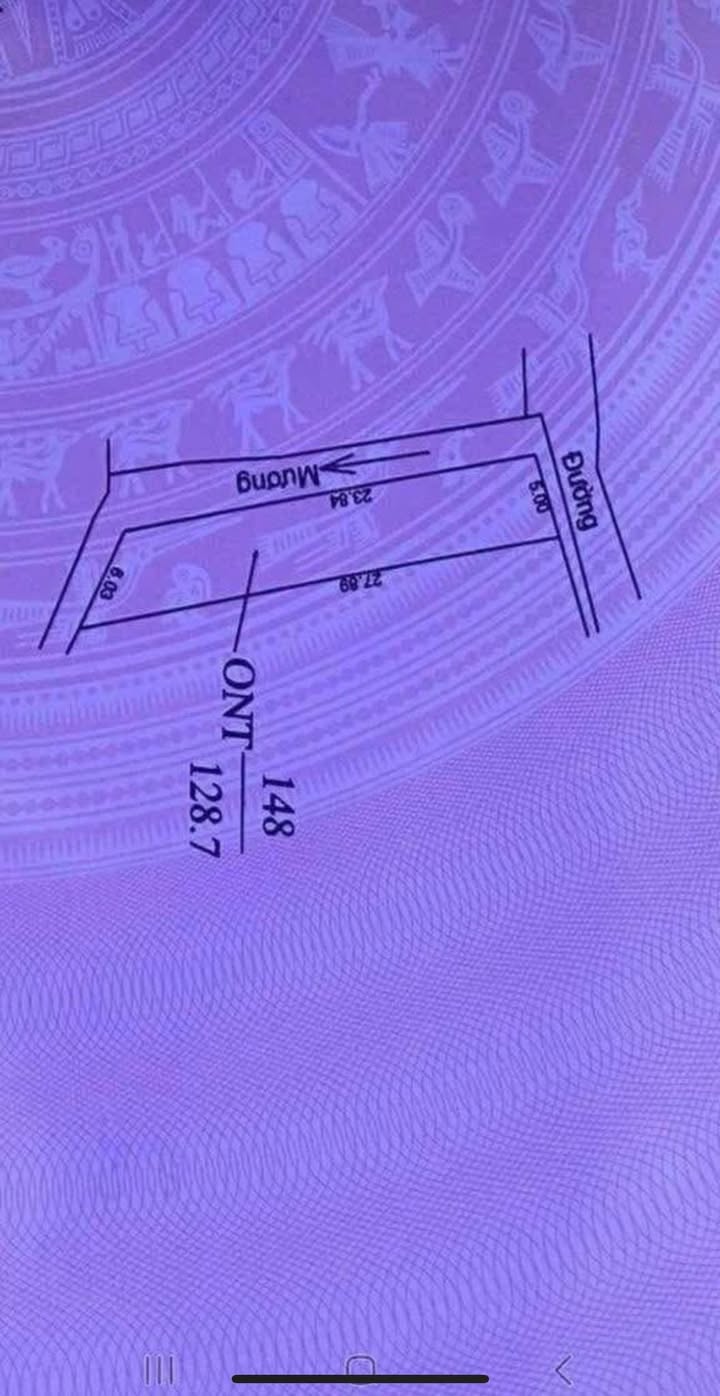 Đất nền 128m² An Lâm, Nam Sách - Sổ đỏ chính chủ, Xây dựng tự do!