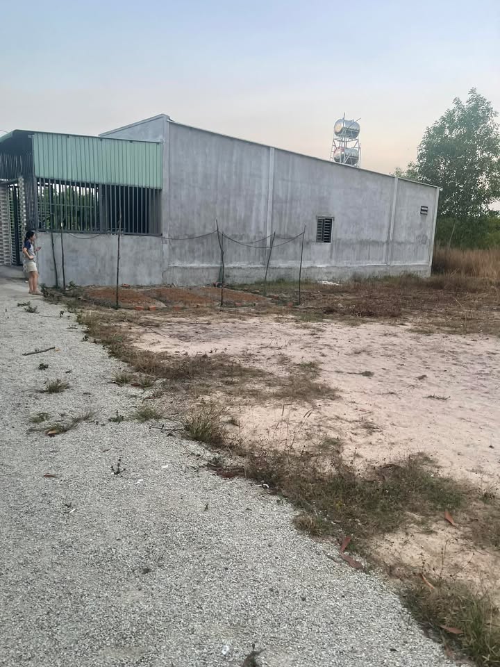 Đất Sổ Đỏ Nhơn Trạch 100m² - Gần KCN, Đường Ô Tô 7 Chỗ