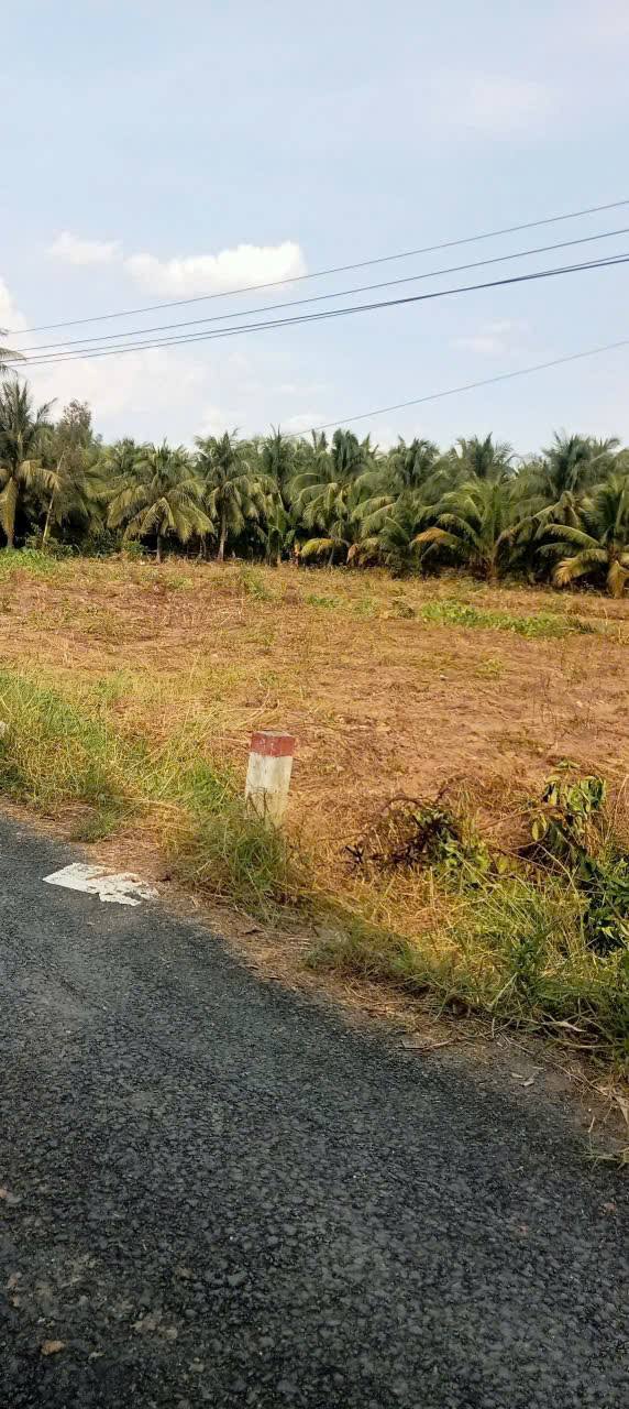 Đất nền Ấp Ô Chích Cầu Kè 3050m² - Tiềm năng tăng giá vượt trội!