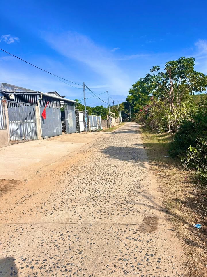 Bán đất nền Tân Hiệp, Cam Ranh 120m² - Tặng nhà cấp 4, tách 2 lô, 1.3 tỷ