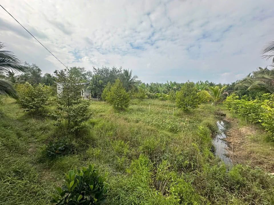 Bán Đất Phú Mỹ 4000m² - Sổ Hồng Thổ Cư - Giá 1.16 Tỷ