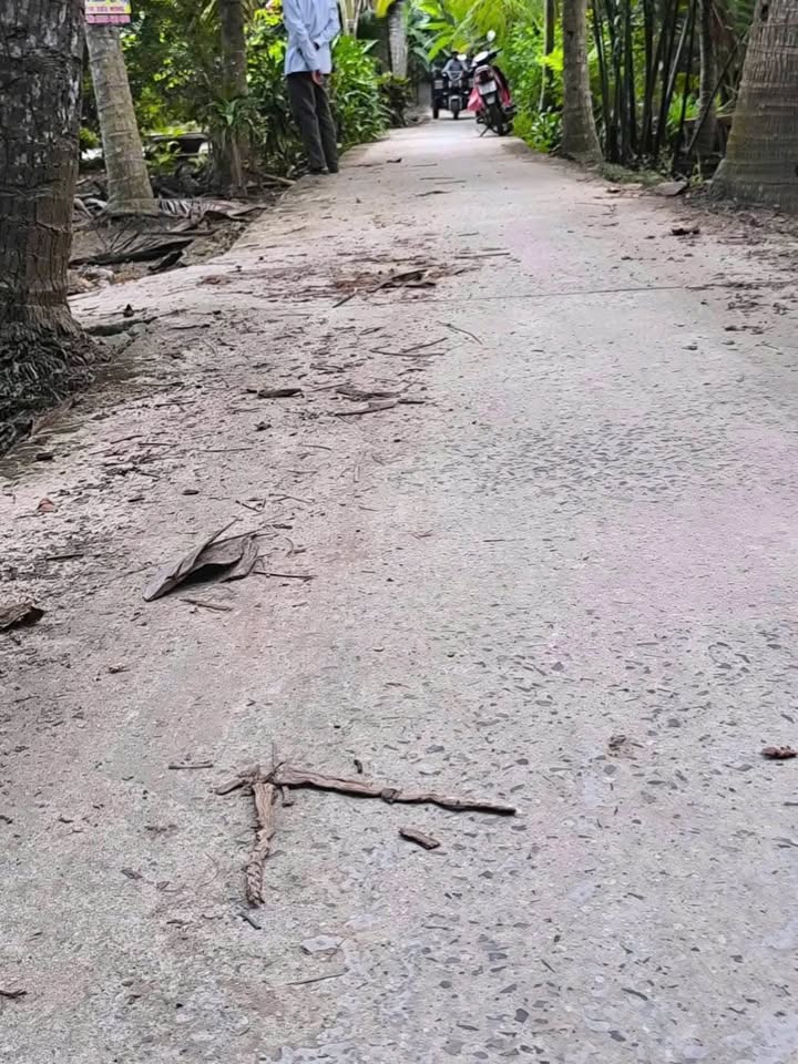 Đất Vườn Tân Thanh Giồng Trôm 1.014m² - Không Gian Sinh Thái Xanh Mát!