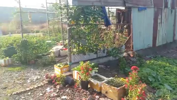 Đất Vàng 1000m² Hội Nghĩa, Tân Uyên - Kinh Doanh, Xây Trọ, Kho Xưởng