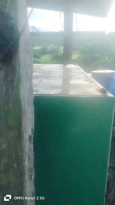 Đất Vườn 13.000m² Thôn 4, Thạch An, Cao Bằng - Giá Đầu Tư 19.8 Tỷ